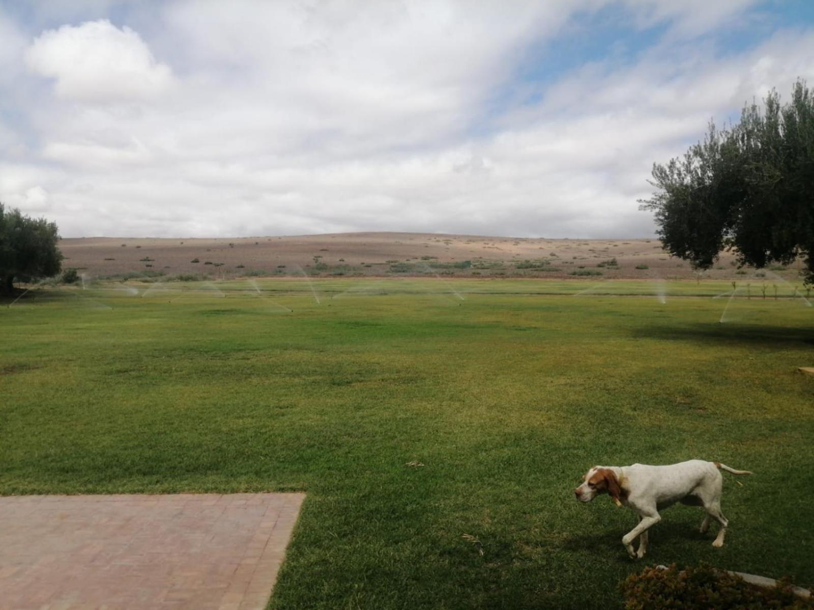 Bed and Breakfast Domaine Lamrah Douar Caid Brahim Экстерьер фото